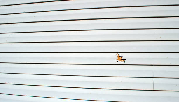 Affordable siding repair and maintenance services in Caldwell, NJ